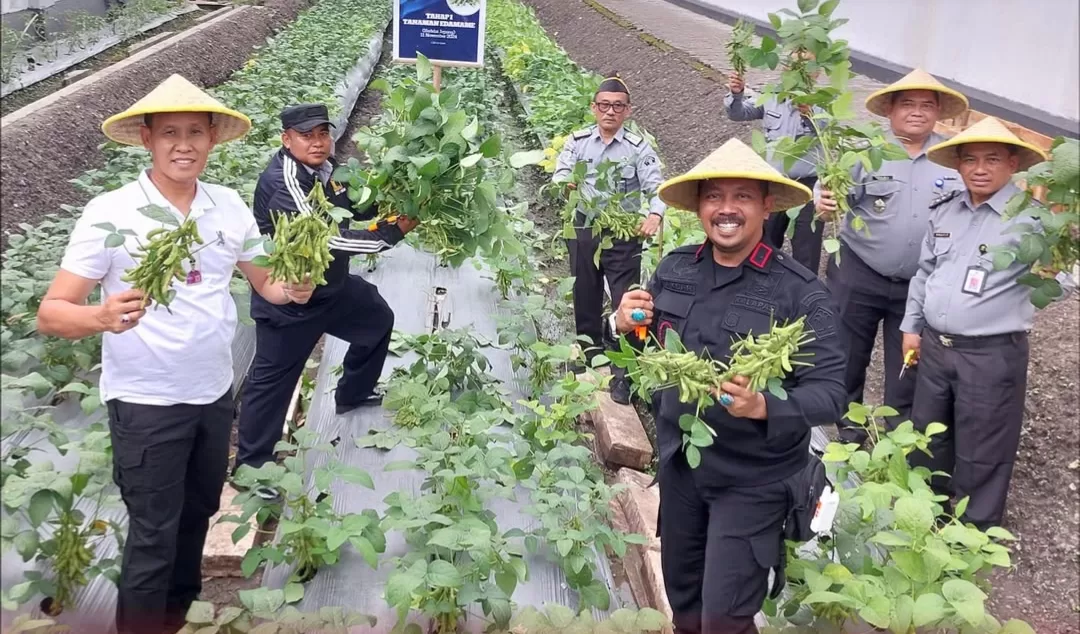 Wujudkan Ketahanan Pangan, Ditjenpas Jatim Panen Kedelai Edamame di Lapas Lowokwaru