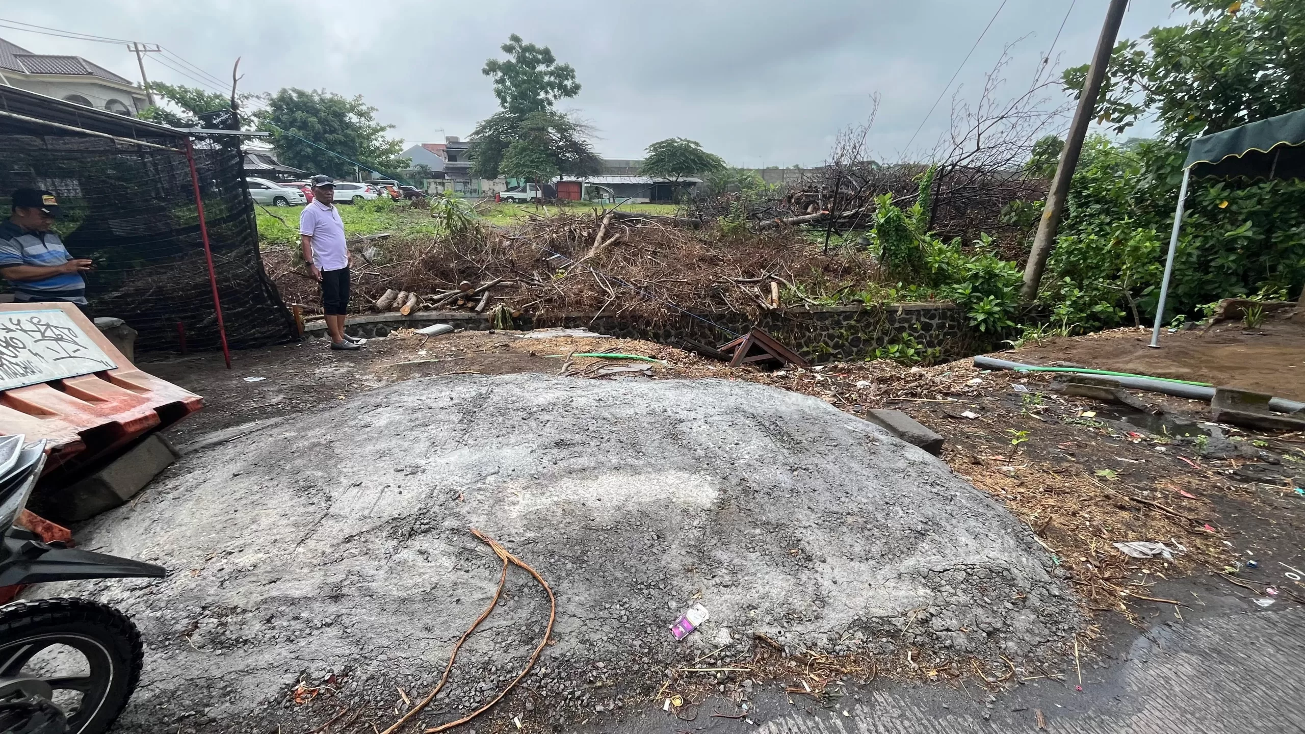 Penebangan Pohon Beringin Tua di Singosari, Benarkah Kepentingan Proyek Komersil?